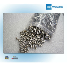 Strip Permanent Magnet